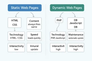Static and Dynamic Web Pages