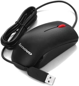 mouse